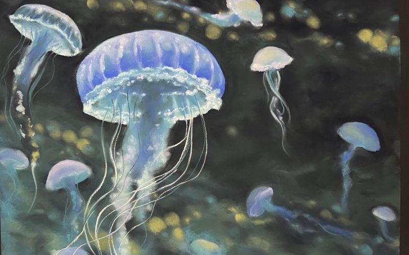 A Pastel Artwork of jellyfish by Sarah Pondevie
